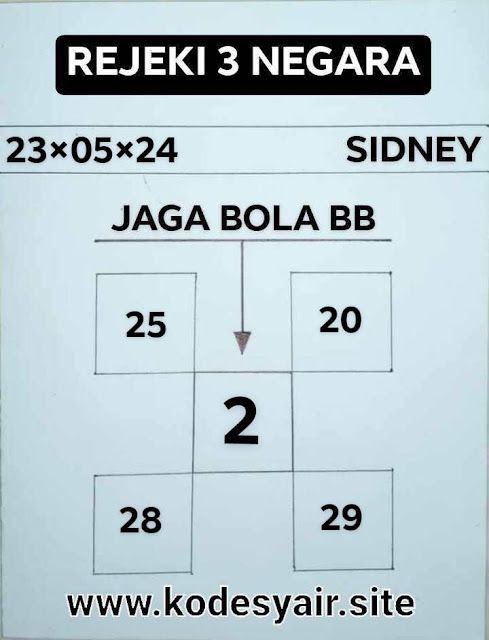 SYAIR SDY VIP